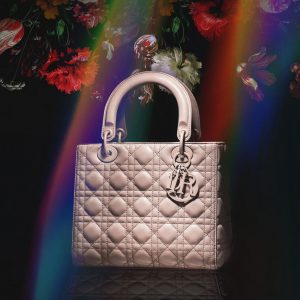 Dior Bags